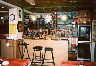 Hotel/penzion - Petrklíč - U Lišáka restaurace