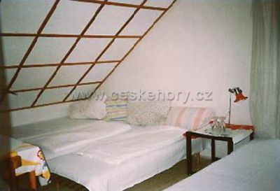 Hotel/penzion - Petrklíč - U Lišáka restaurace