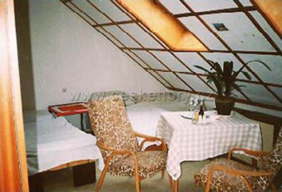 Hotel/penzion - Petrklíč - U Lišáka restaurace