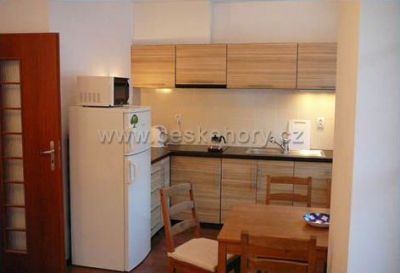 Apartmán na sjezdovce - Prkenný Důl