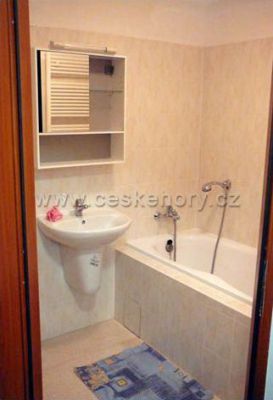 Apartmán na sjezdovce - Prkenný Důl