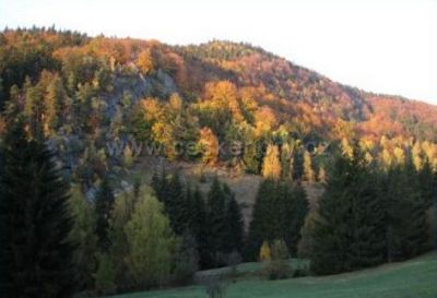 U pulčinské stezky