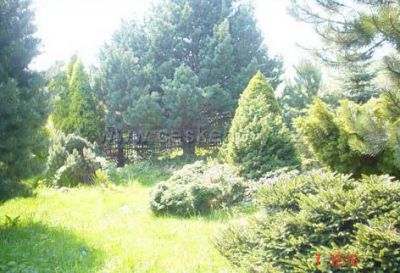 Apartmán U Pytláka