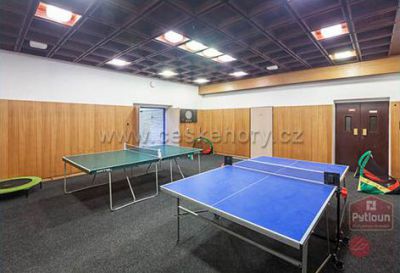 Pytloun Hotel**** Harrachov