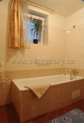 QUEST hostel & apartments