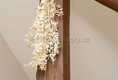 Hotel Leopold Račín