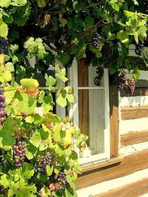 Chalupa v Českém ráji