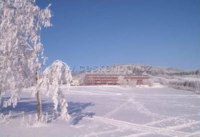 Apartmán Adam č.25