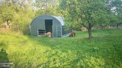 Bílý dům - Rašovka