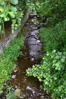 Rekreační rodinný dům u Slezské Harty