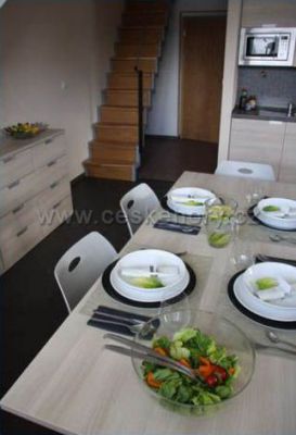 RESIDENT Harrachov****