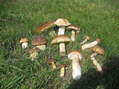 Romantická chata Landštejn