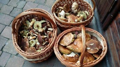 Romantická chata Landštejn