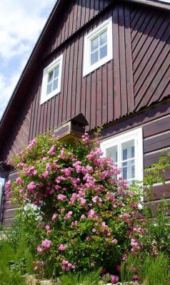 Roubená chalupa v Krkonoších