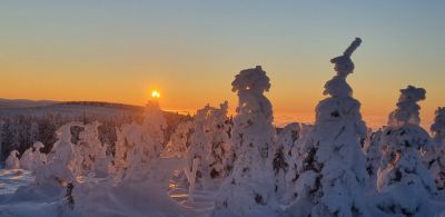 Horská roubenka s bazénem a saunou