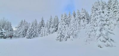 Horská roubenka s bazénem a saunou