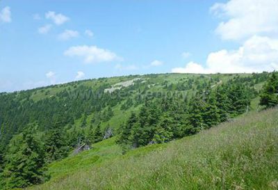 Horská roubenka s bazénem, saunou, whirlpoolem
