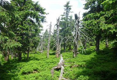 Horská roubenka s bazénem, saunou, whirlpoolem