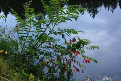 Rekreační středisko Zahradiště