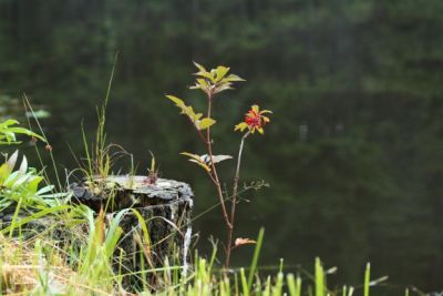 Rekreační středisko Zahradiště
