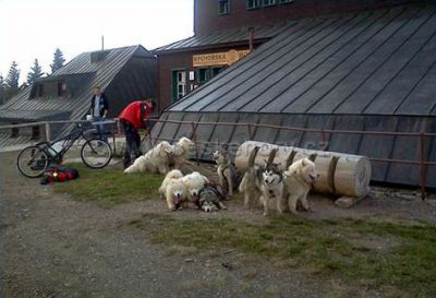 Rýchorská bouda (Rýchorský bukový prales)