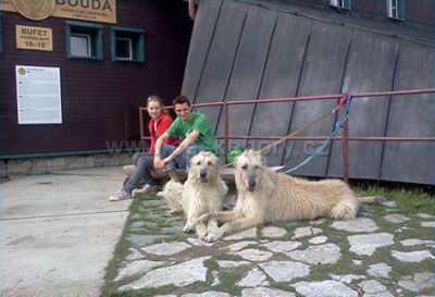 Rýchorská bouda (Rýchorský bukový prales)