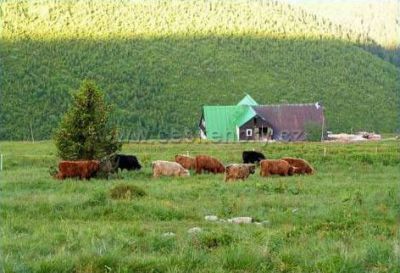 Pension Sagasserovy boudy U Bohouše