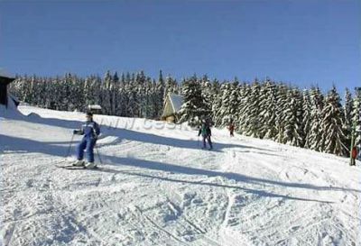 Pension Sagasserovy boudy U Bohouše