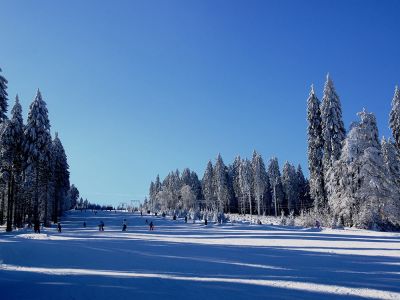 Hájovna Šerlišský Mlýn