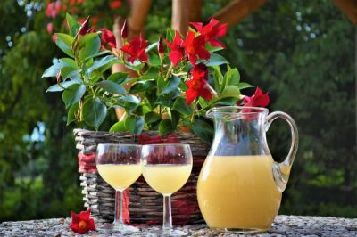 Penzion Sklep Mičulka