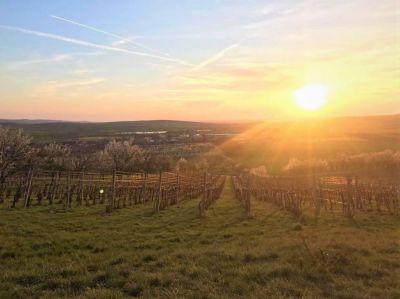 Penzion Sklep Mičulka