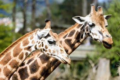 Penzion Sklep Mičulka