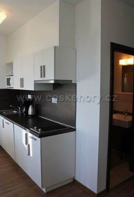 Skiapartmány Boží Dar