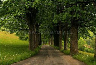 šKola Přebytek + singltrekk = nevšední zážitek