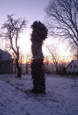 šKola Přebytek + singltrekk = nevšední zážitek