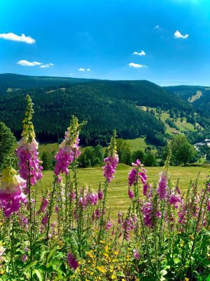 Horská chata Slunce