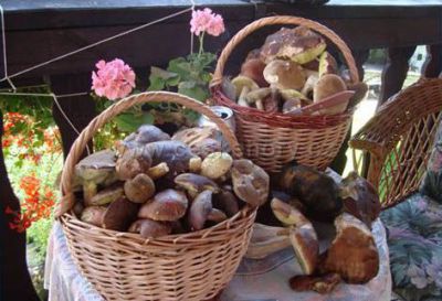 Chalupa U Elišky Masákova Lhota