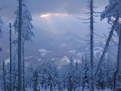 Chalupa v srdci Beskyd