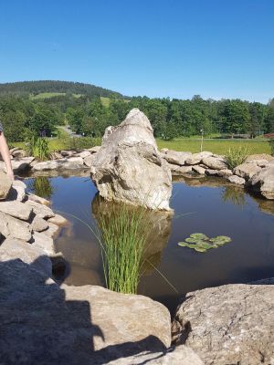 Horská chata s bazénem a saunou - Dolní Morava