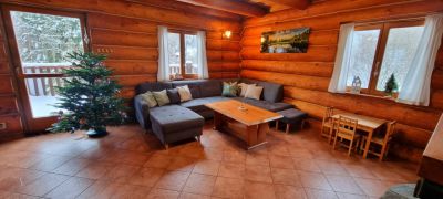 Horský kanadský srub s venkovní vířivkou a bazénem