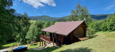 Horský kanadský srub s venkovní vířivkou a bazénem