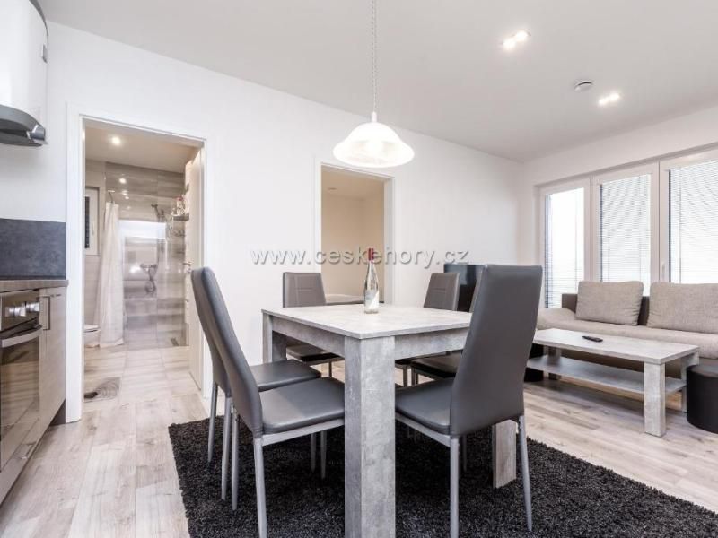 Apartmán Sport Family Klínovec