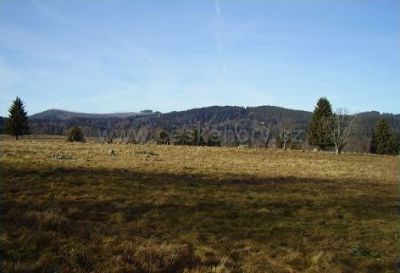 Apartmán Sport - Relax