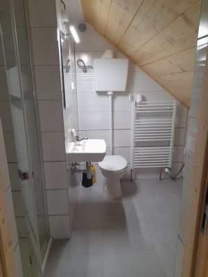 Pokoj č.2 - sprchový kout