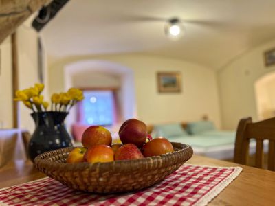 Penzion Stanský mlýn