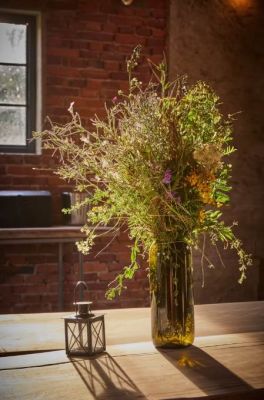 Statek 85 apartmány