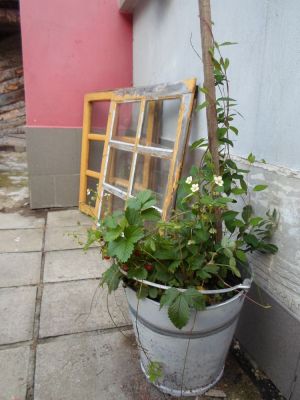 Ubytování Štempel Karol