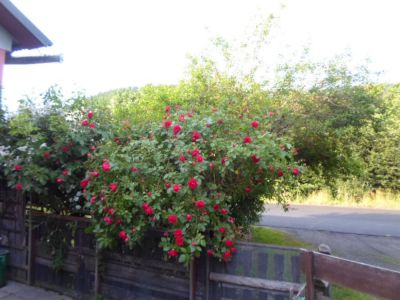 Ubytování Štempel Karol