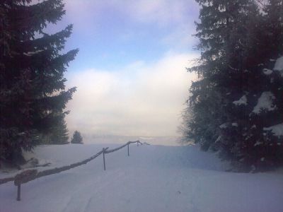 Chalupa Strážné 231