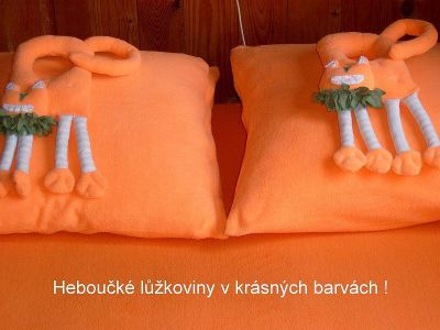 Ubytování U nás v Kocourkově